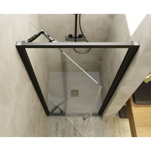 Swing Shower Doors SERENA SE310